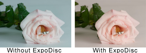 Rose with and Without ExpoDisc