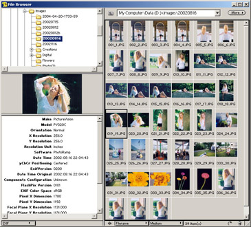 Adobe Photoshop Elements 2.0 Image Browser