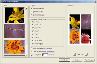 Print Dialog Box