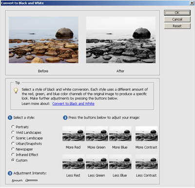 Black and White Conversion Dialog Box