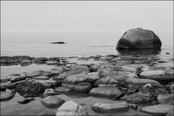 Black and white conversion using Convert To Grayscale