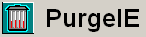 PurgeIE Logo