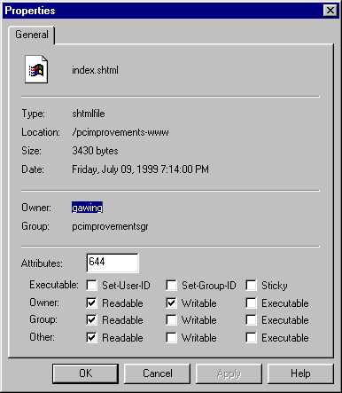File properties screen of AbsoluteFTP